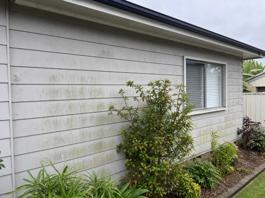 Mould-stained house exterior wall in Brisbane before washing