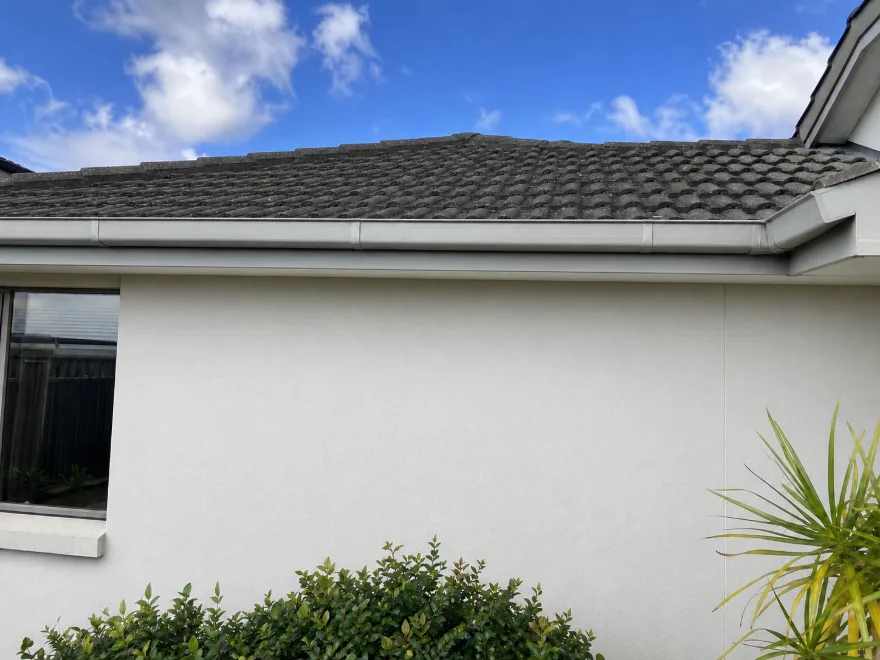 Exterior surface after gentle soft washing, mould removed