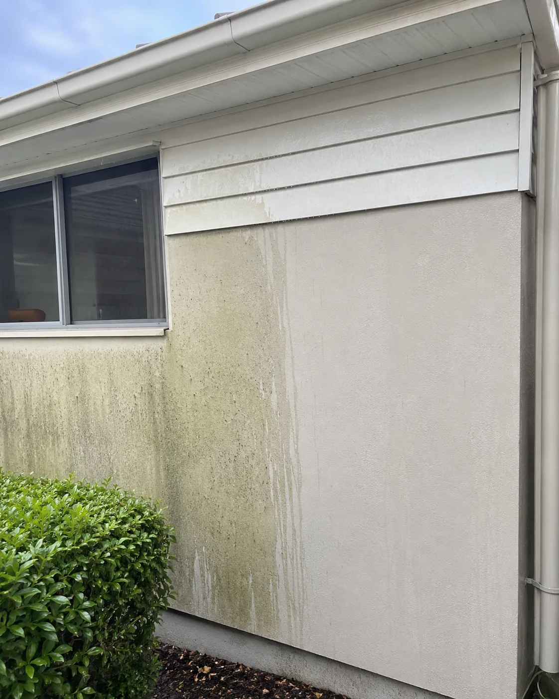 House washing