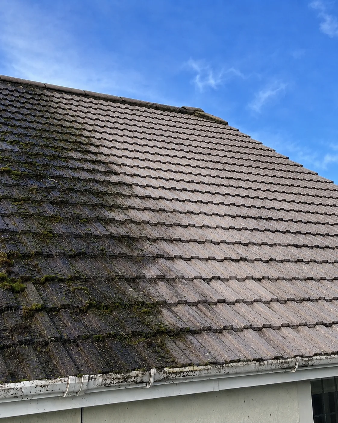 Roof and gutter cleaning service